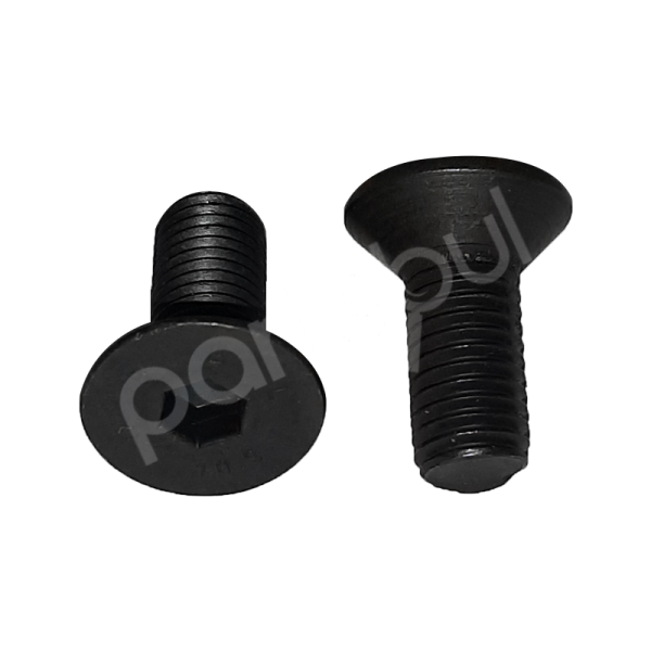 Yale 900010217 Cıvata / Capscrew